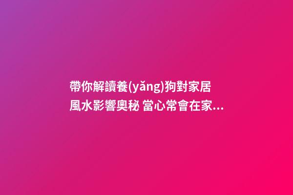 帶你解讀養(yǎng)狗對家居風水影響奧秘 當心常會在家居設計中犯的禁忌